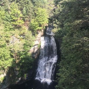 Meet your Posher, Terri